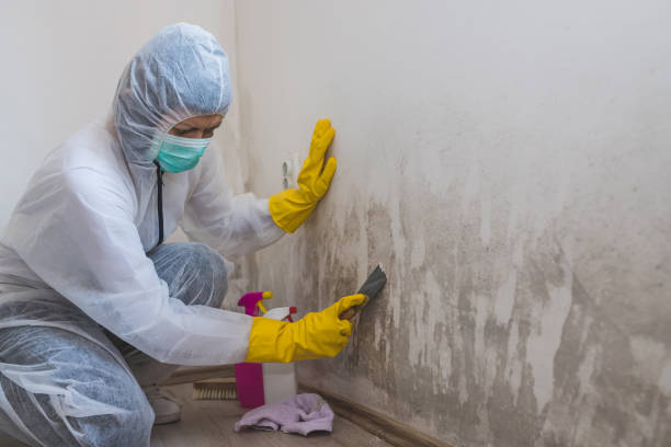 Best Mold Testing  in Clinton, WI