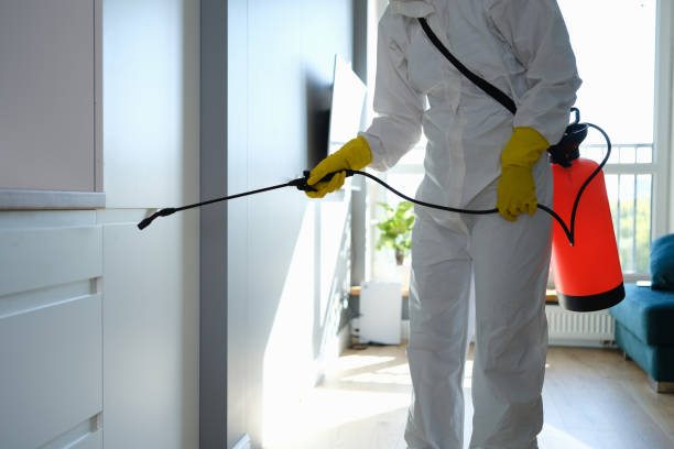 Clinton, WI Mold Removal Company