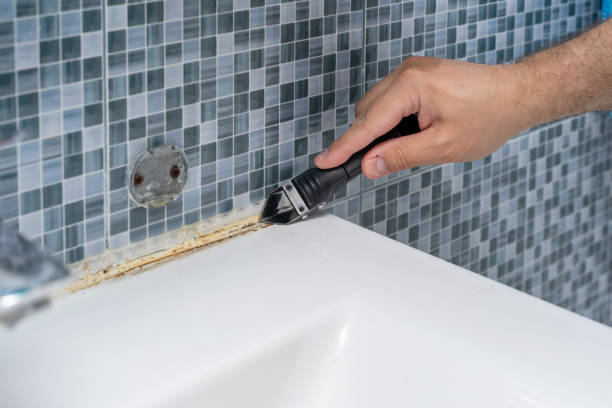 Best Mold Testing  in Clinton, WI