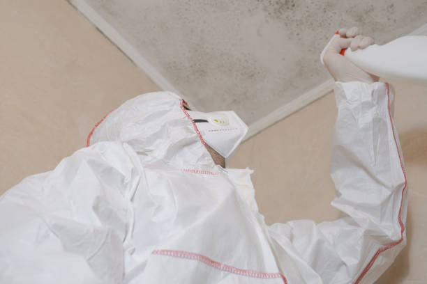 Best Mold Removal and Inspection  in Clinton, WI