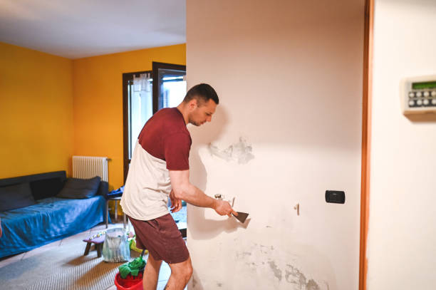 Attic Mold Removal in Clinton, WI