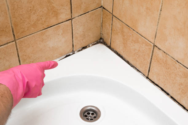 Best Emergency Mold Removal  in Clinton, WI